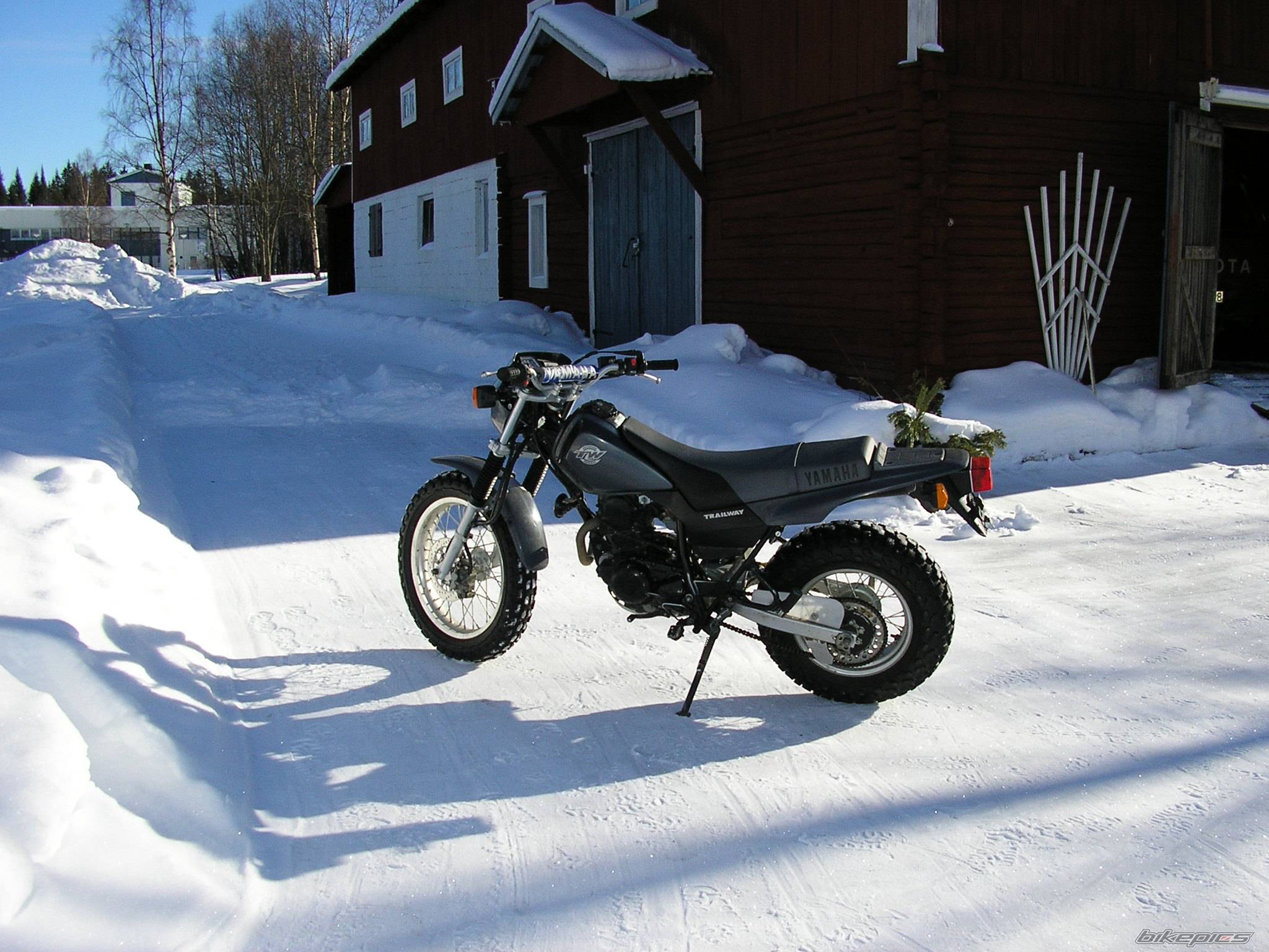 Photo 317171
