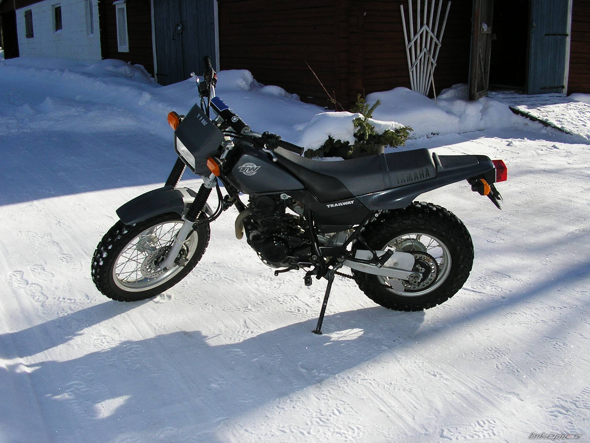 Photo 317174
