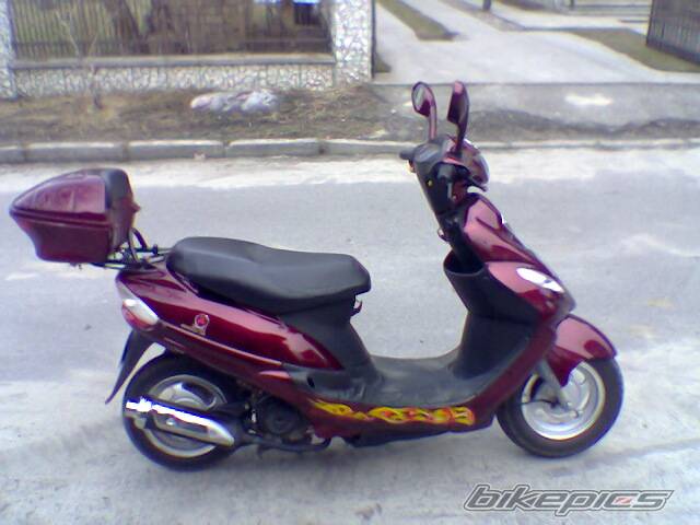 Bike Photo 317179