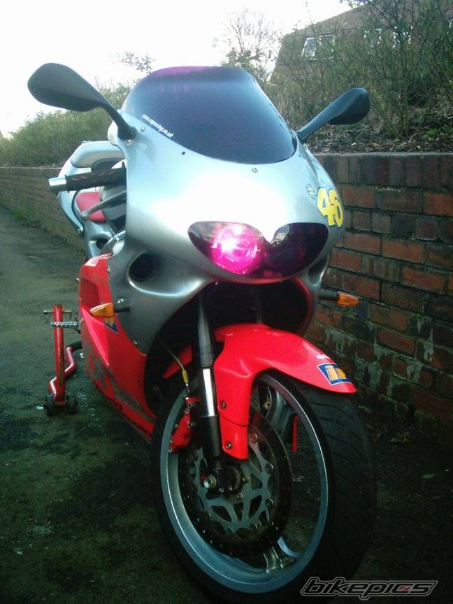 Photo 317238