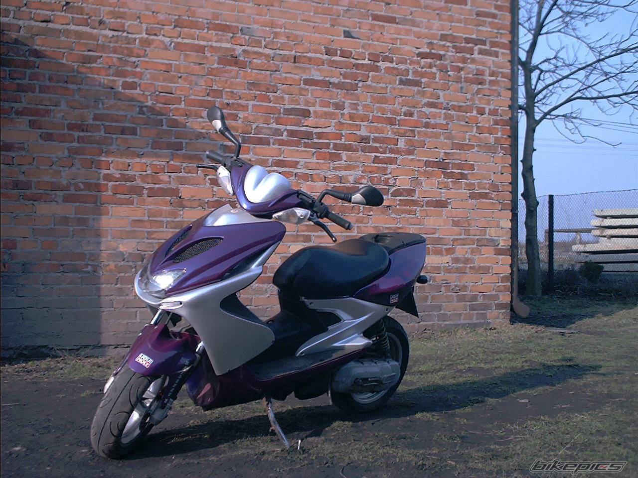 Bike Photo 317244