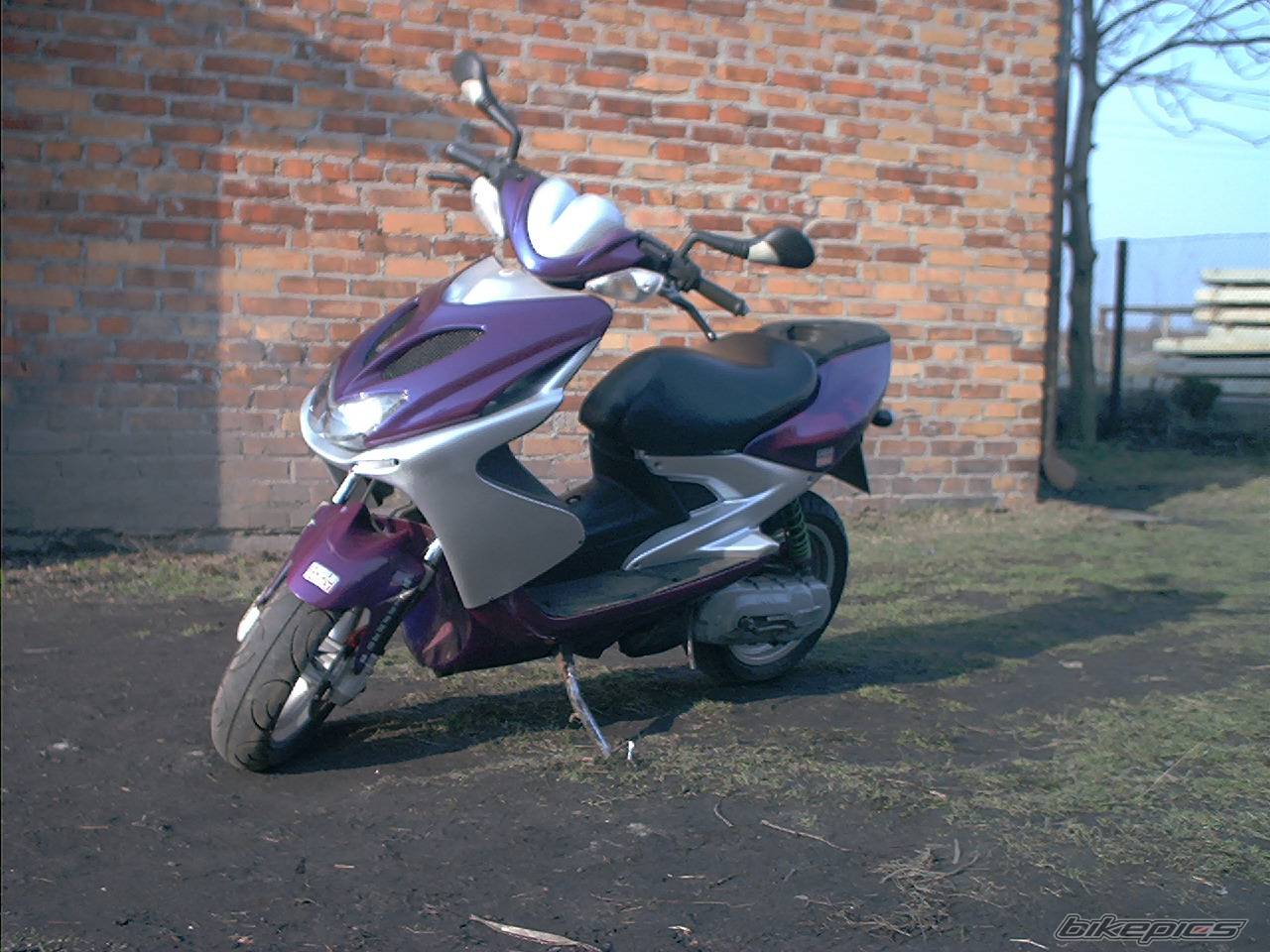 Bike Photo 317250