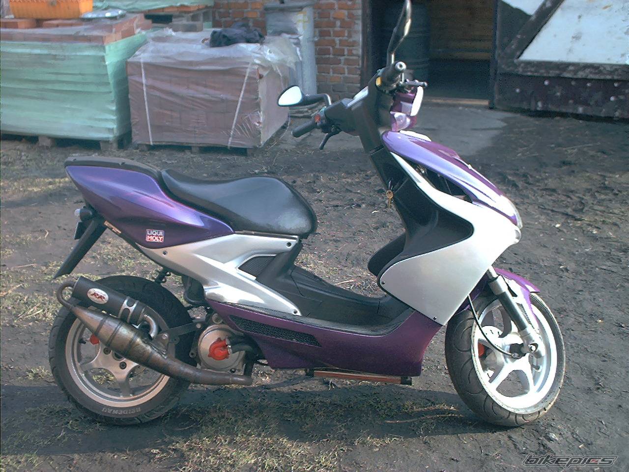 Photo 317255