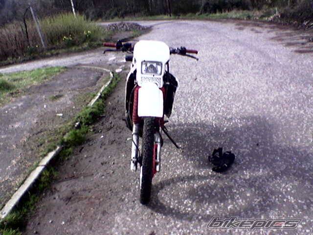 Photo 317258