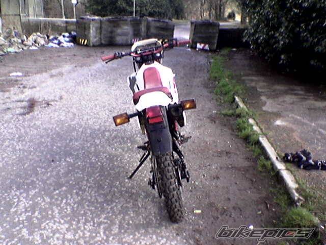 Photo 317260