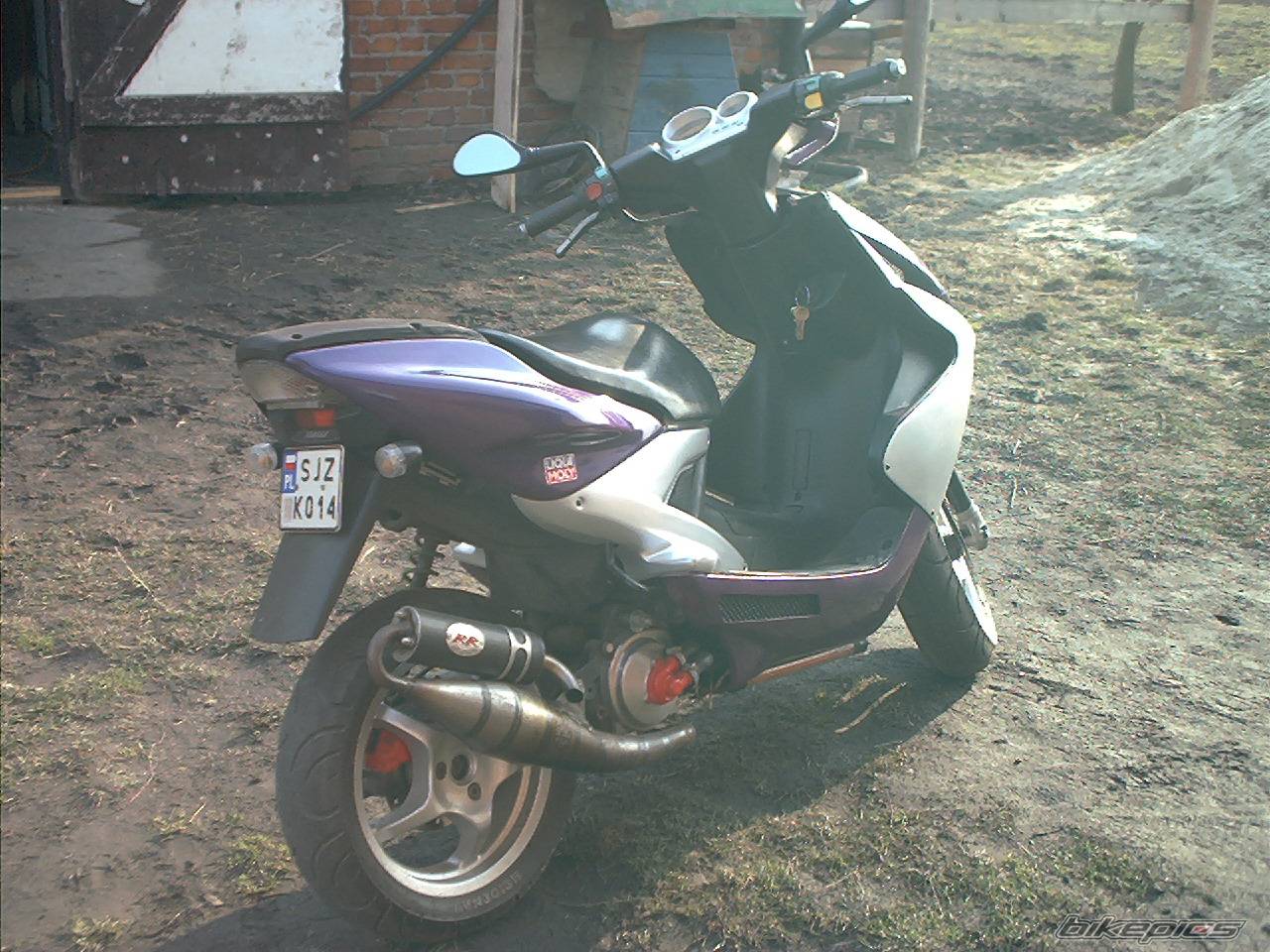 Photo 317261