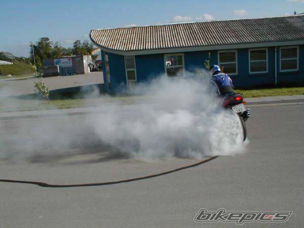 Photo 3173
