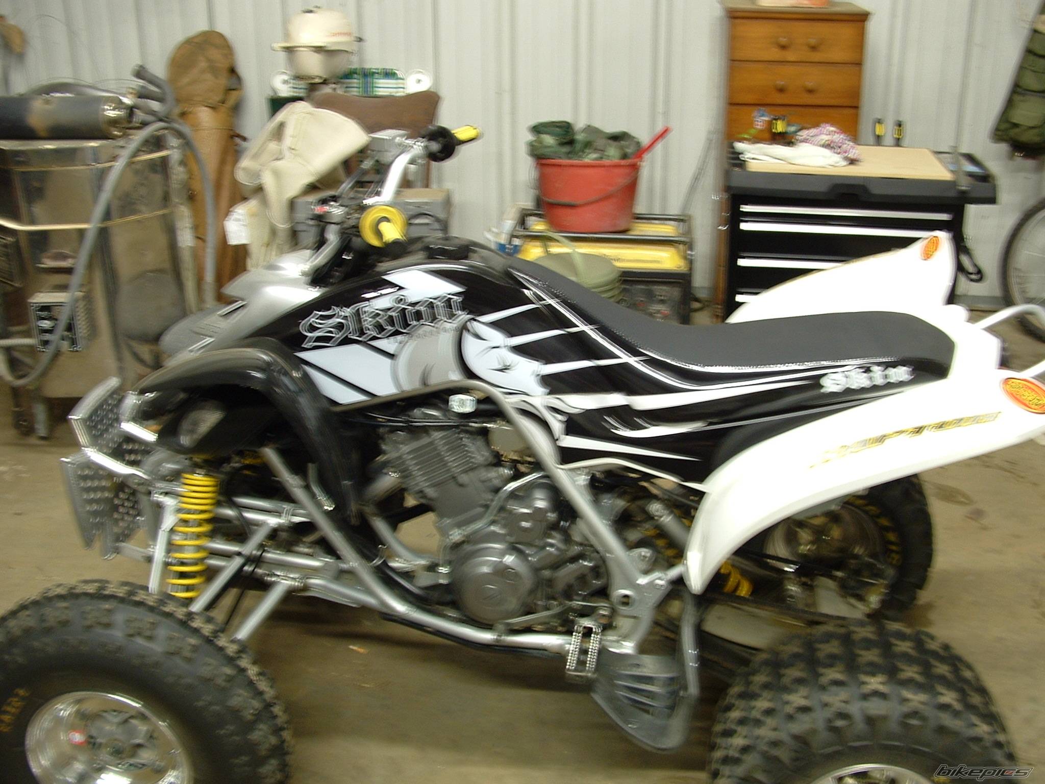 Photo 317302