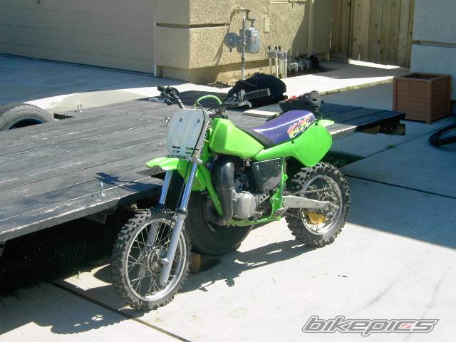 Photo 317325