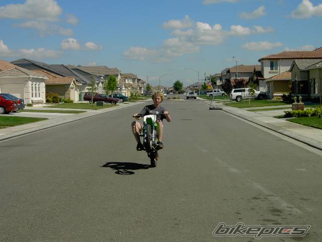 Photo 317335