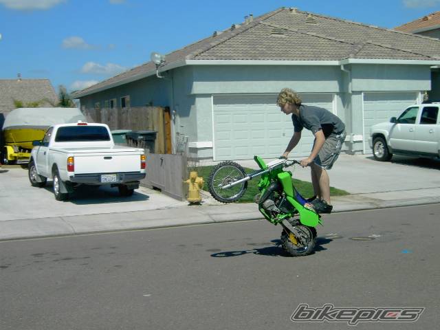Photo 317342