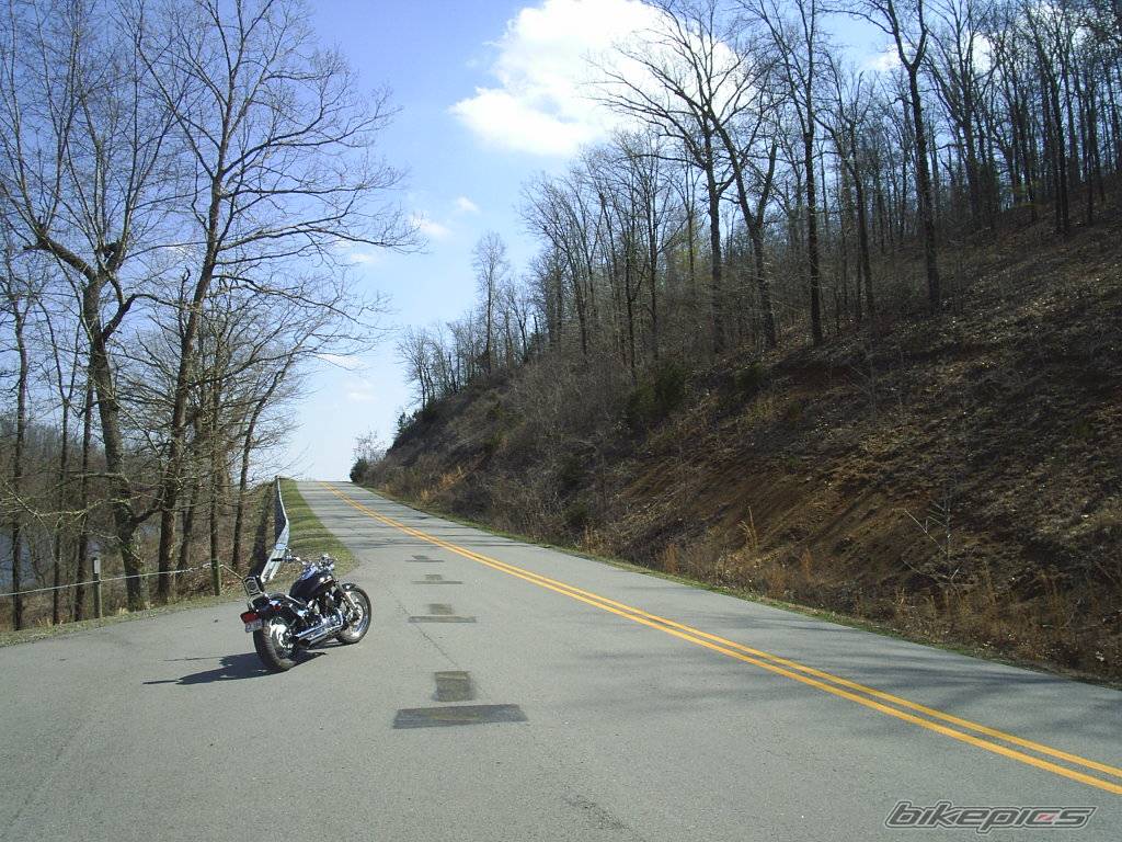 Photo 317347