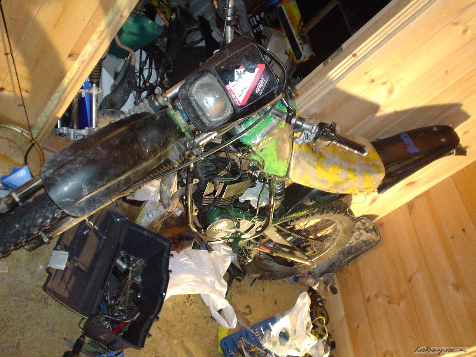 Bike Photo 317408