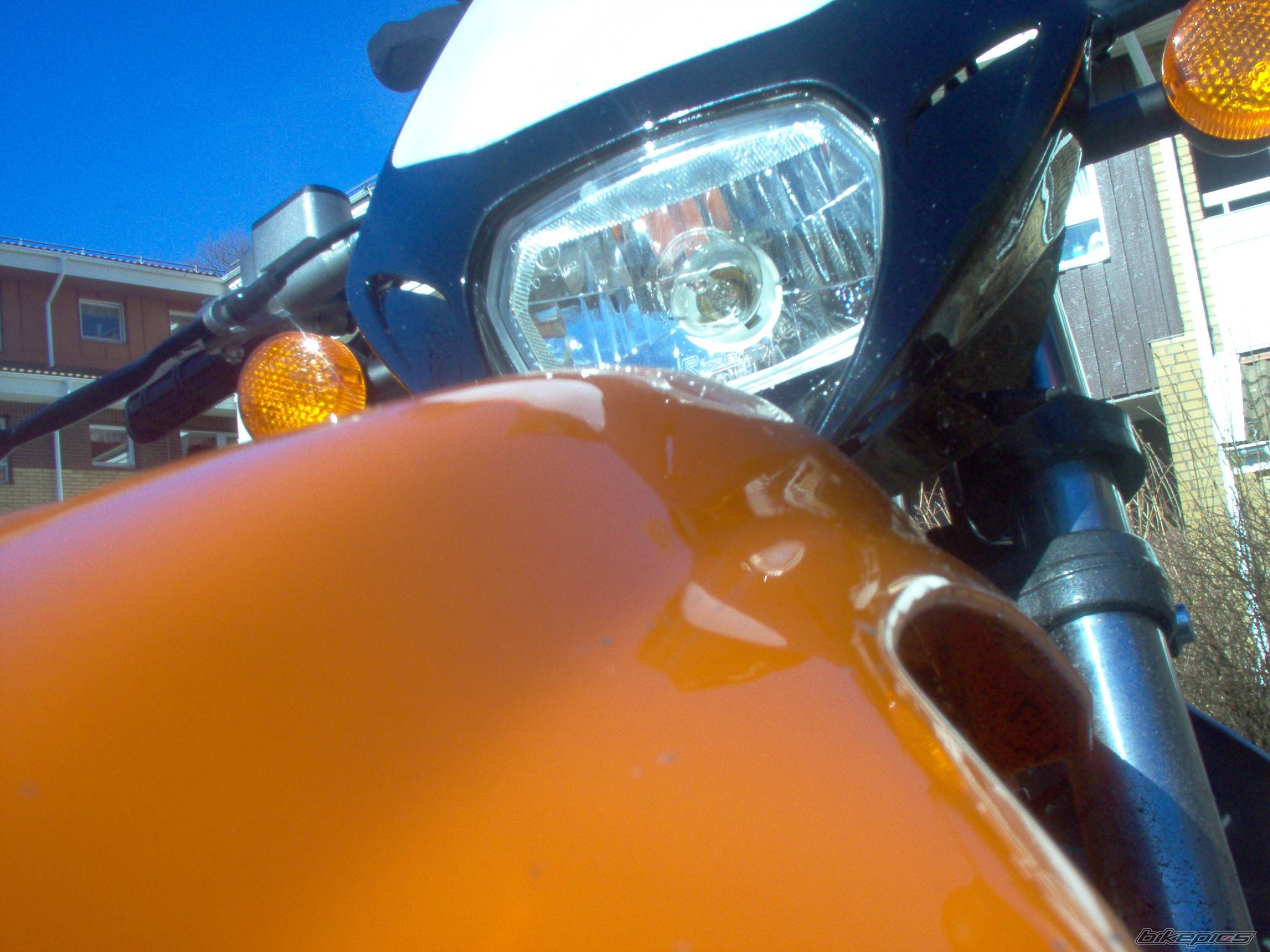 Photo 317435