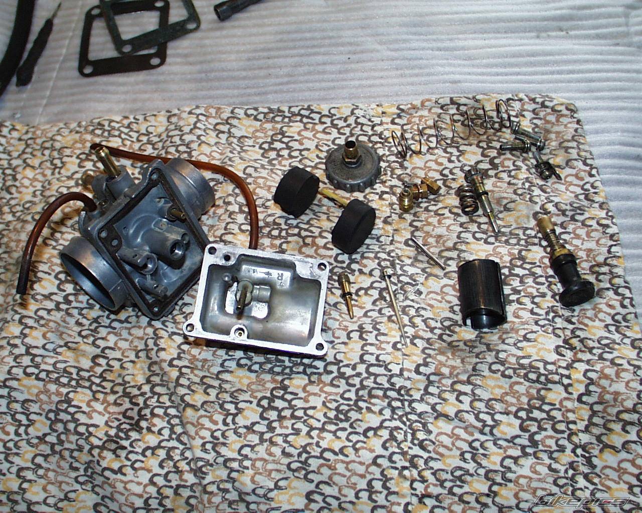 Bike Photo 317457