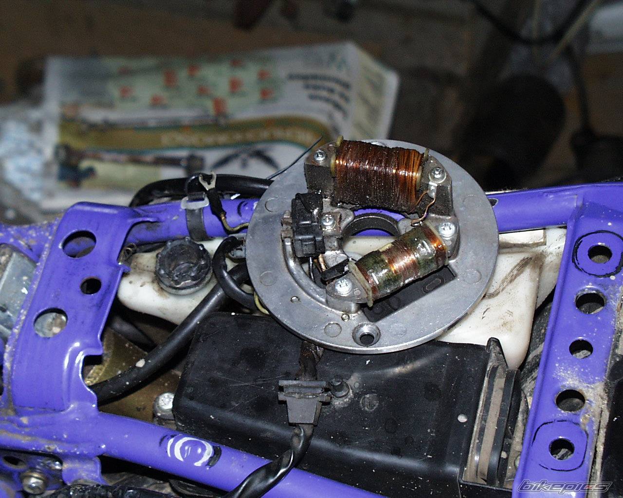 Bike Photo 317458