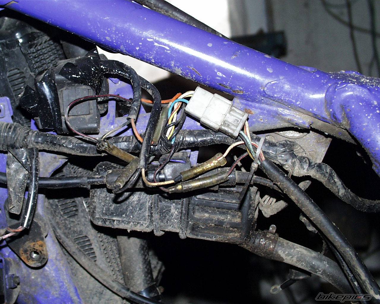 Bike Photo 317460