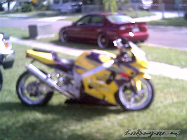 Photo 317497