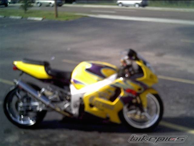 Photo 317498