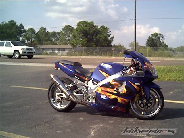 Photo 317500