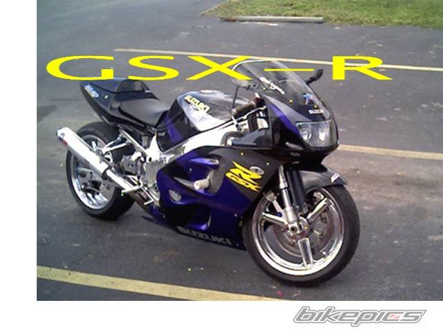 Bike Photo 317501