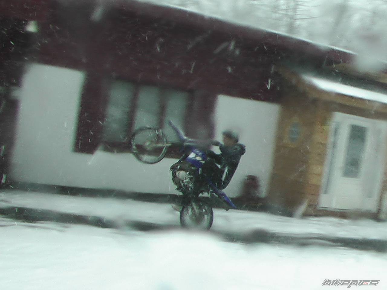 Bike Photo 317528