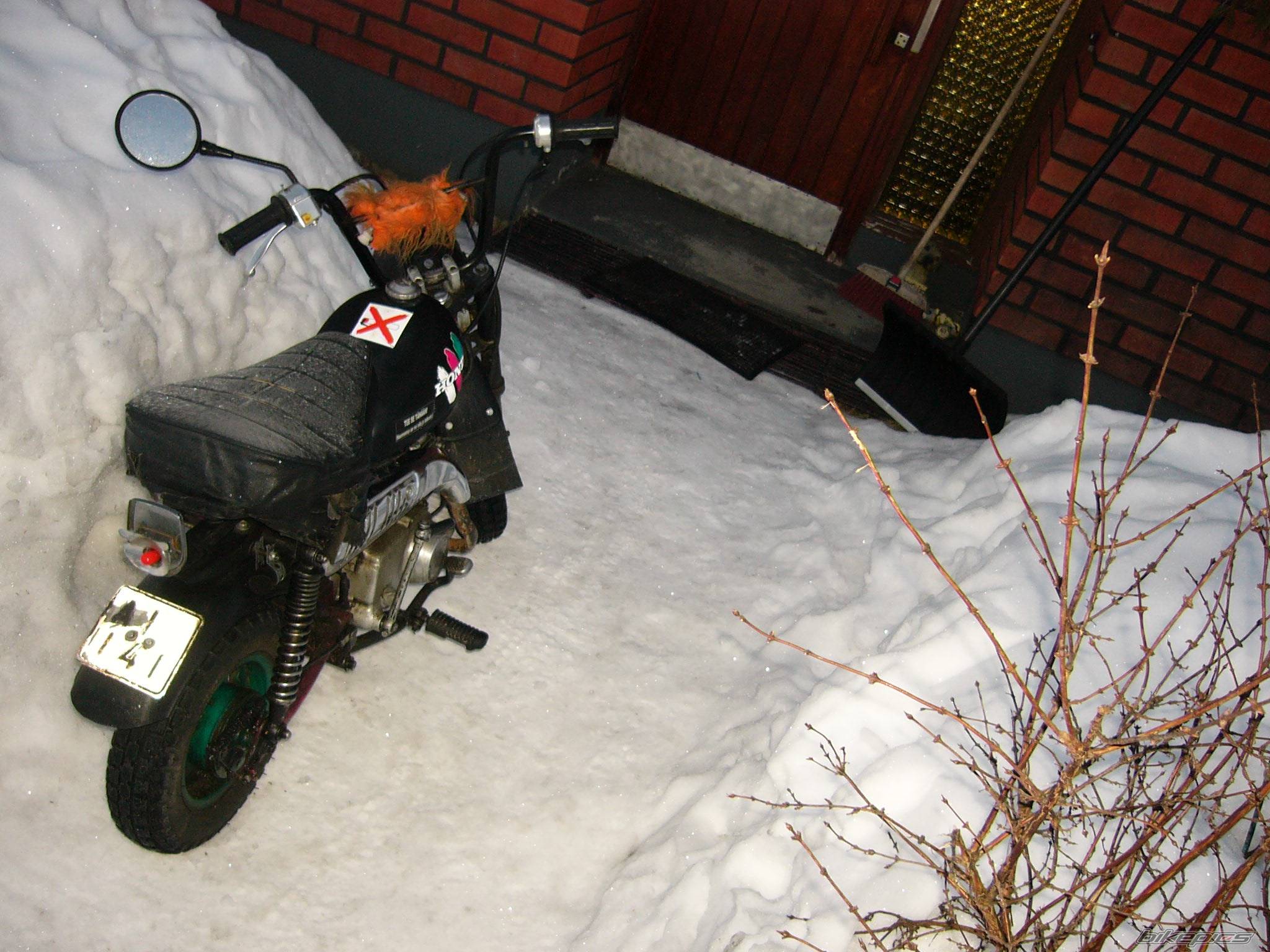 Bike Photo 317555