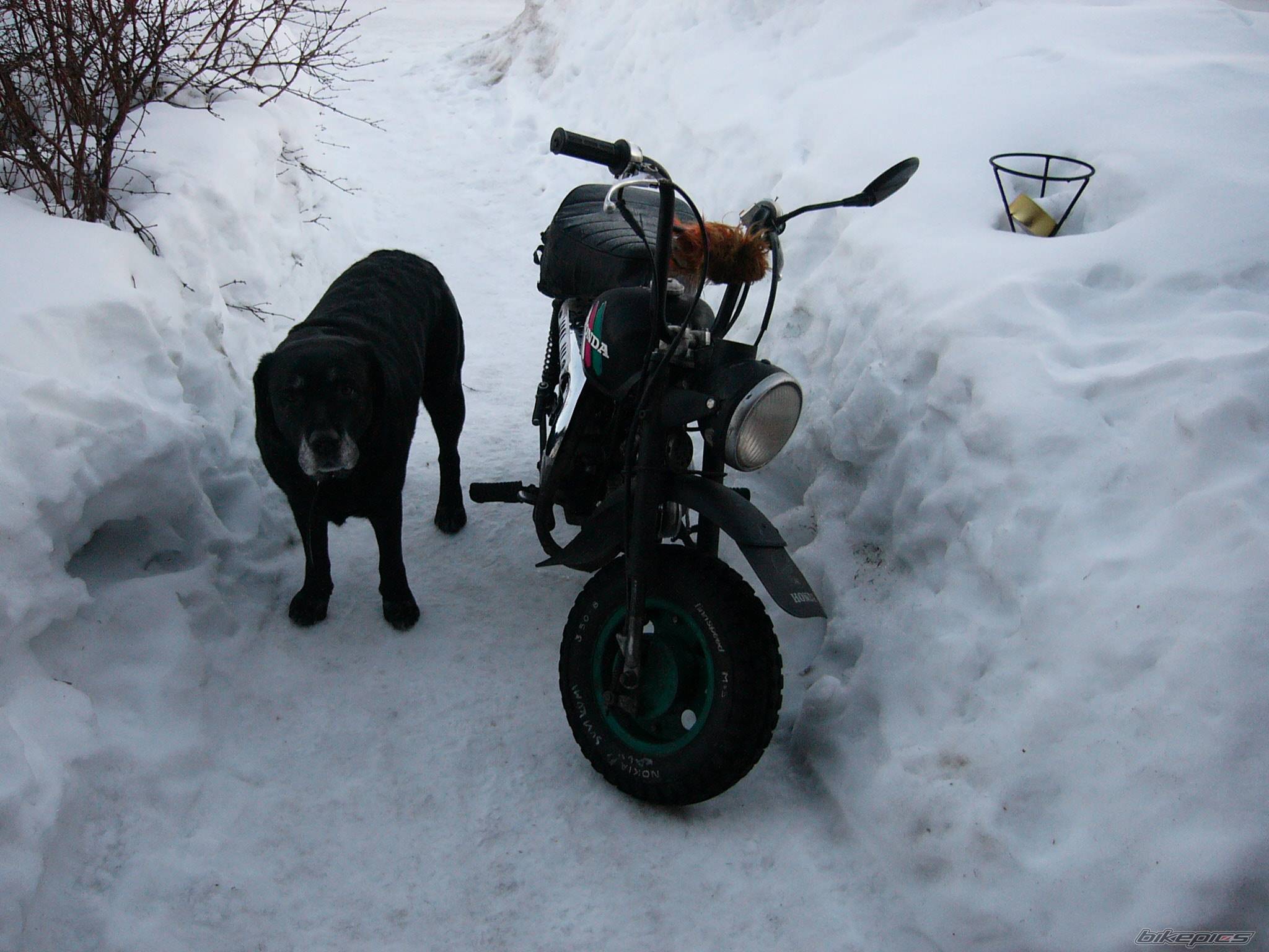 Bike Photo 317557