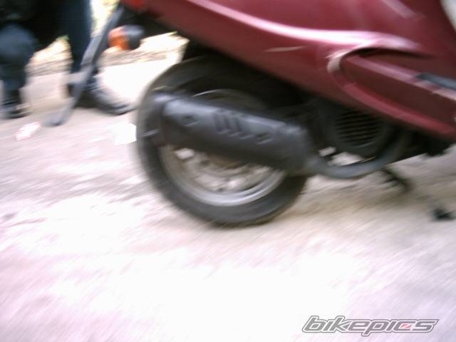 Photo 317639