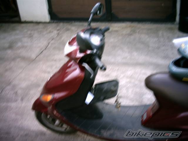 Photo 317647