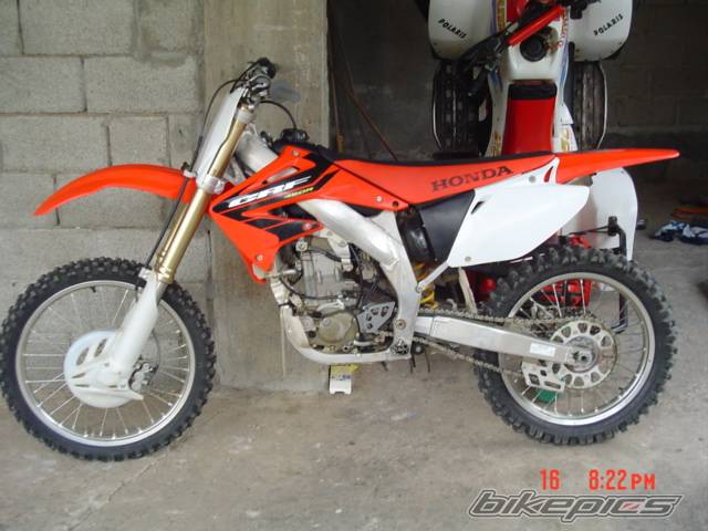 Photo 317687