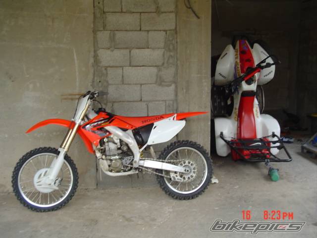 Photo 317694