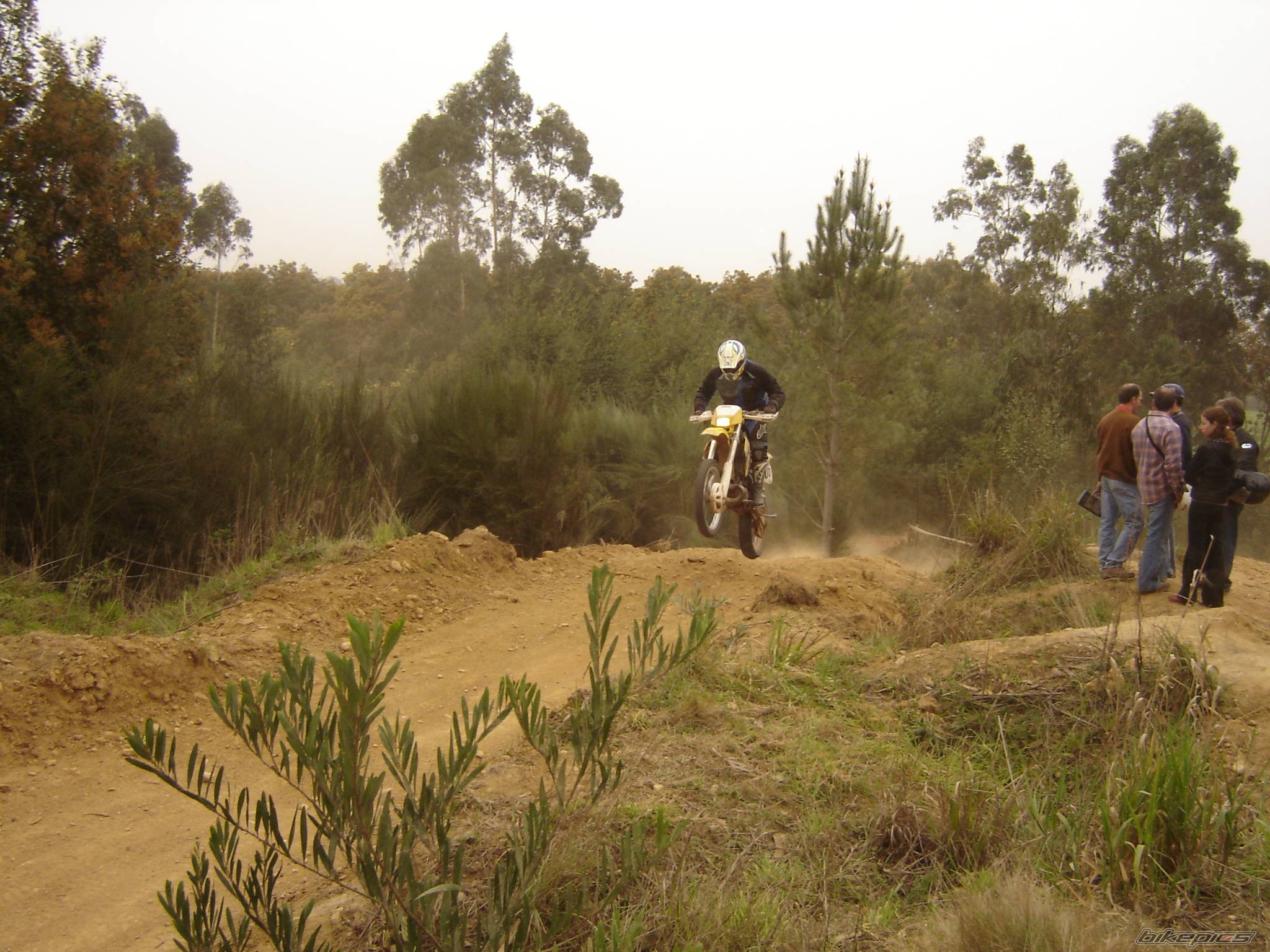 Bike Photo 317702