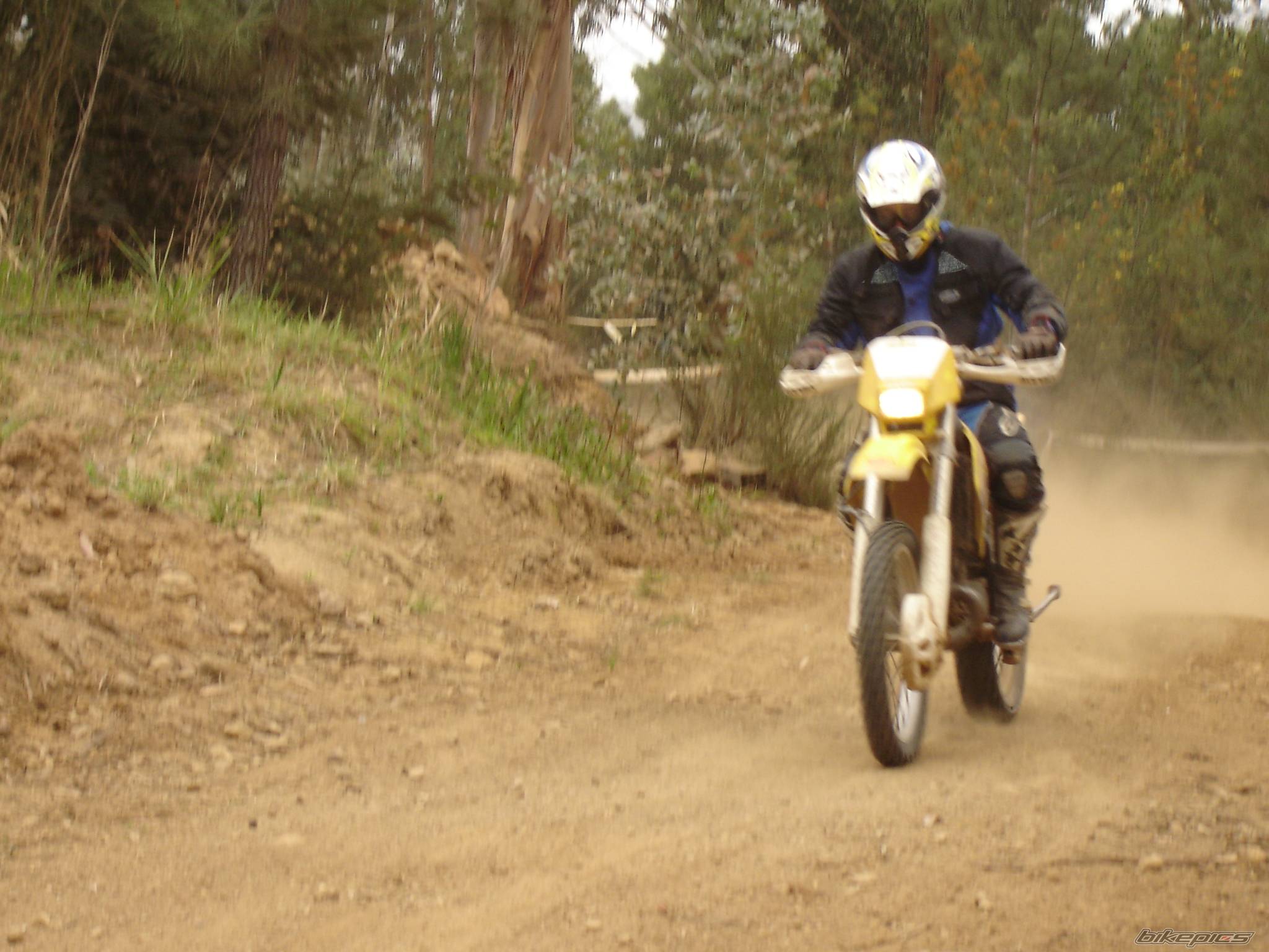 Bike Photo 317705