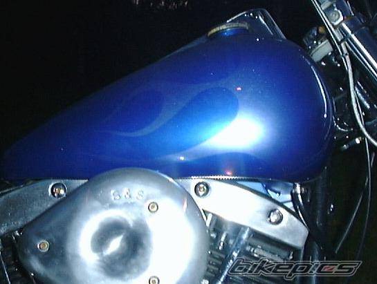 Photo 317714