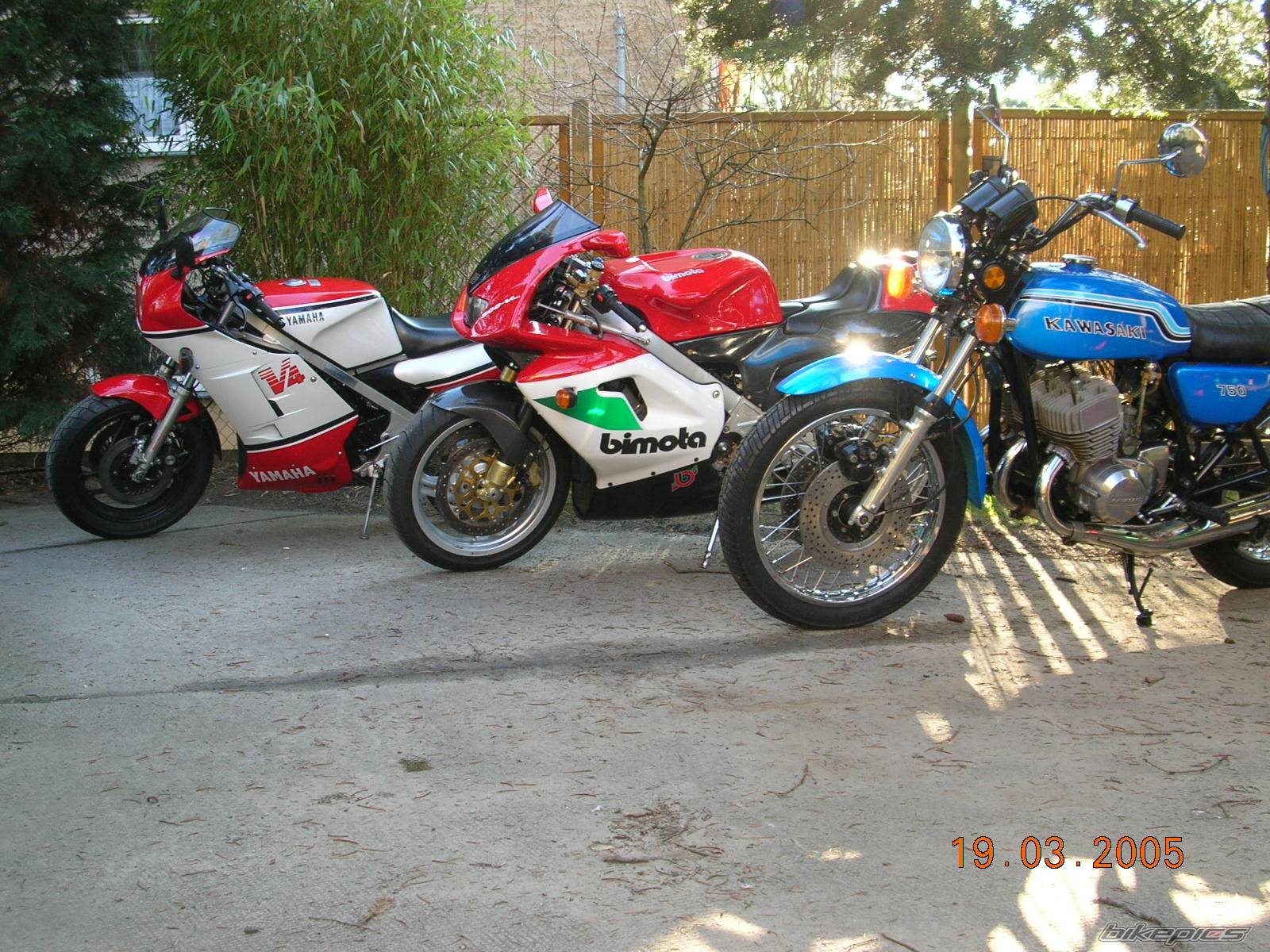 Photo 317751