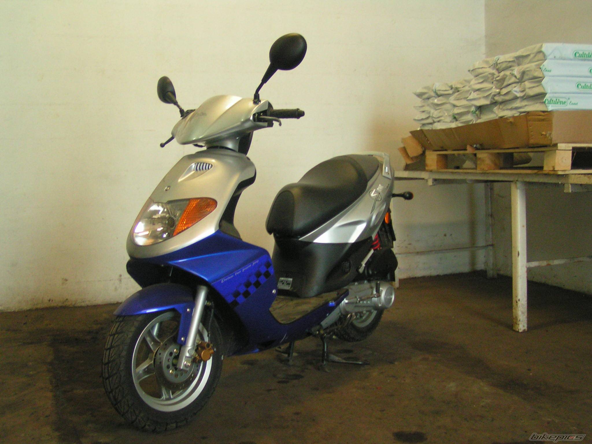 Bike Photo 317772