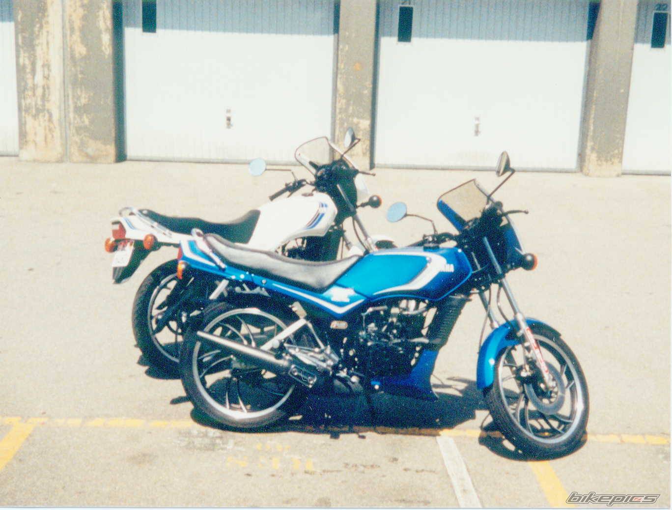 Bike Photo 317793