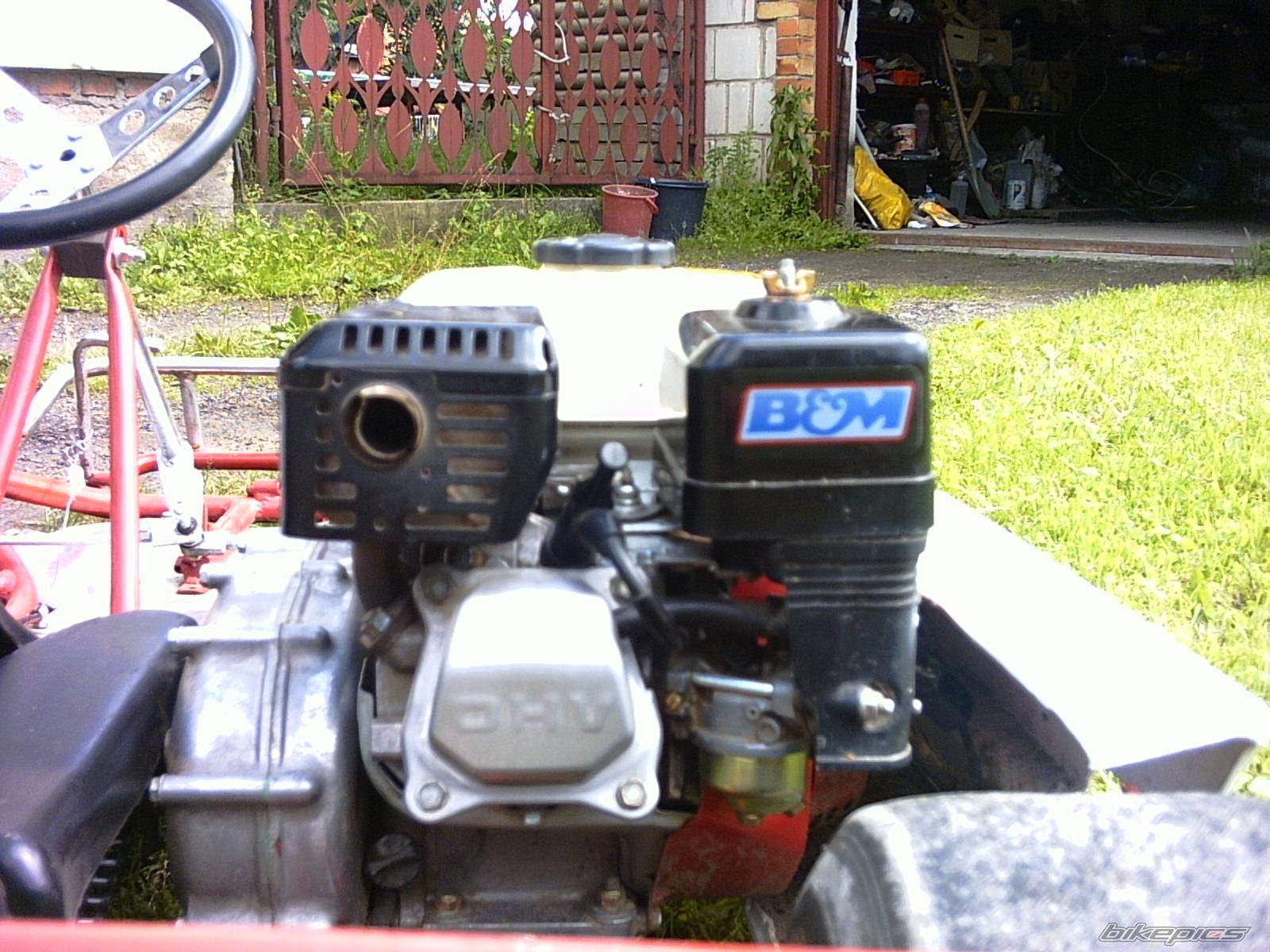 Photo 317813