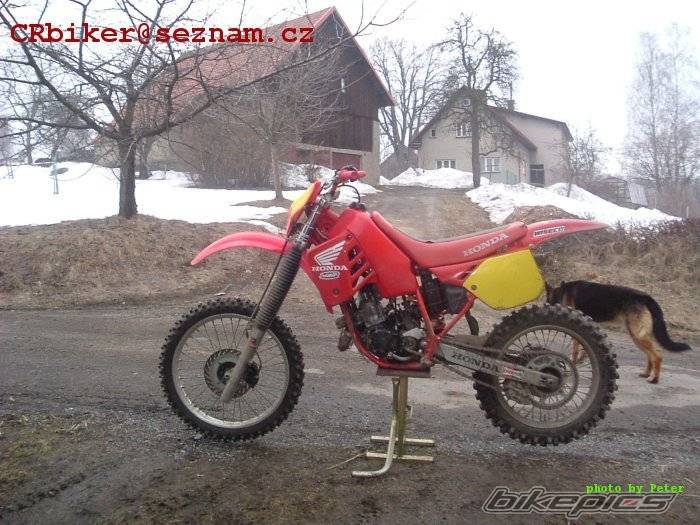 Bike Photo 317889
