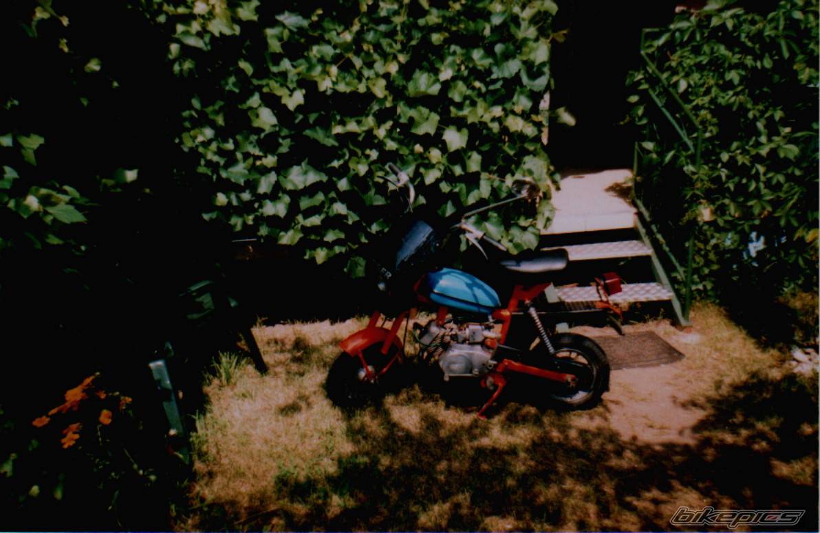 Bike Photo 317992