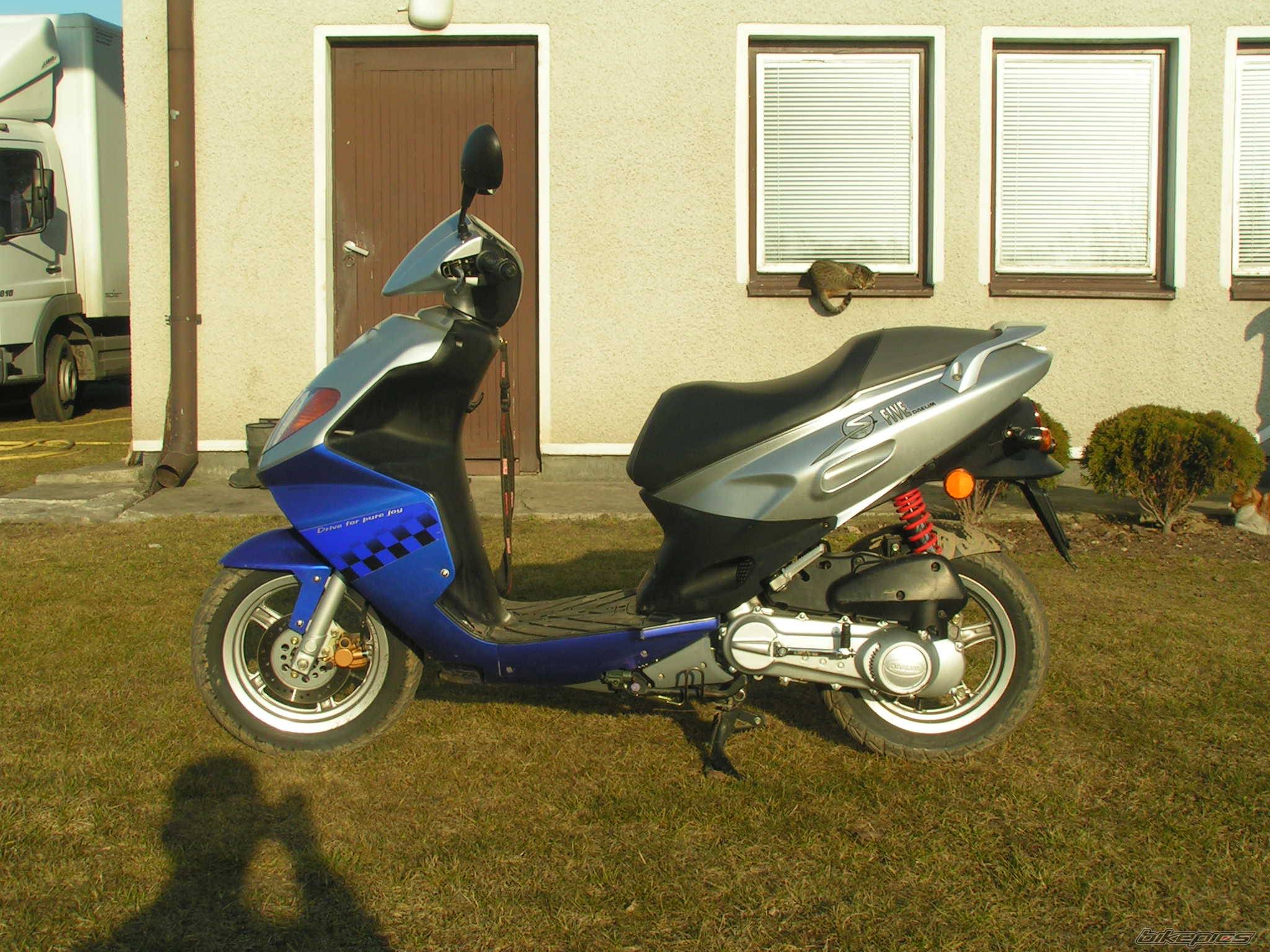Bike Photo 318065