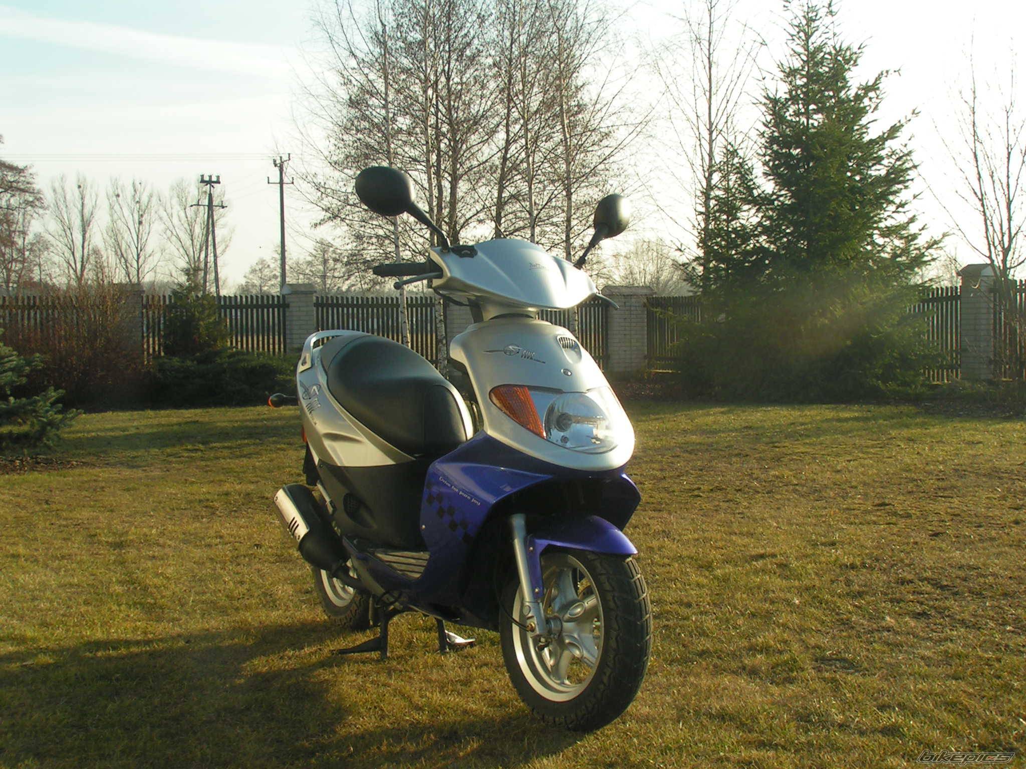 Bike Photo 318073