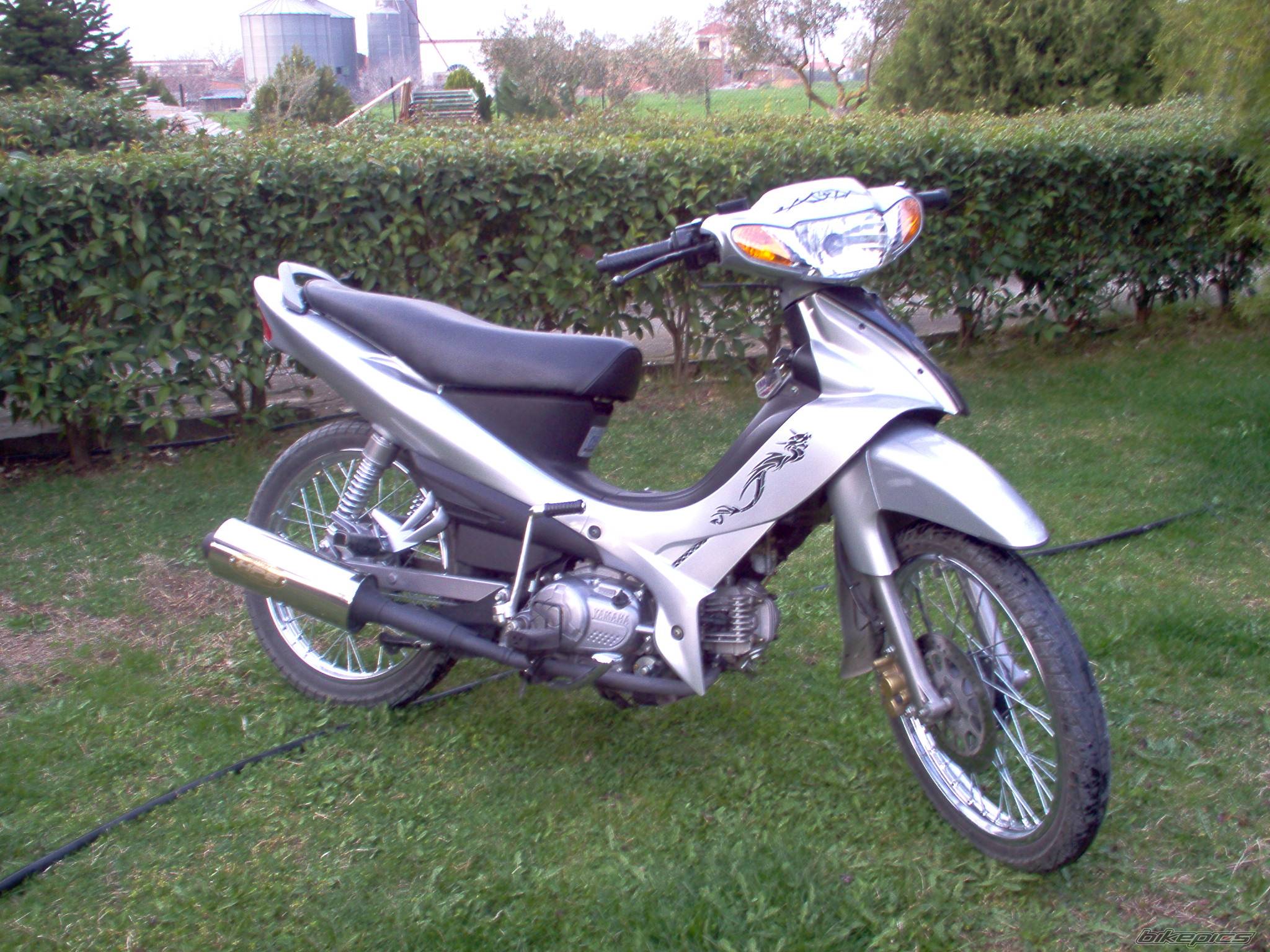 Bike Photo 318130