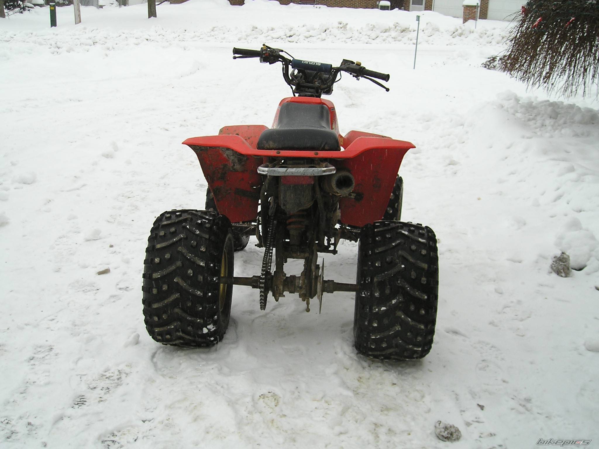 Photo 318212