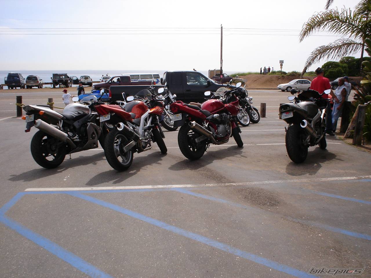 Bike Photo 318231