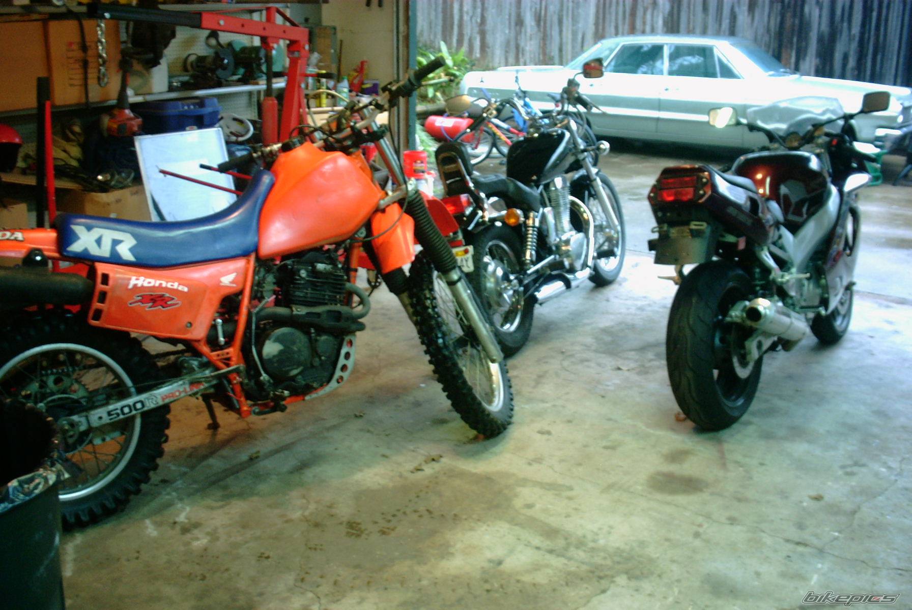 Photo 318238