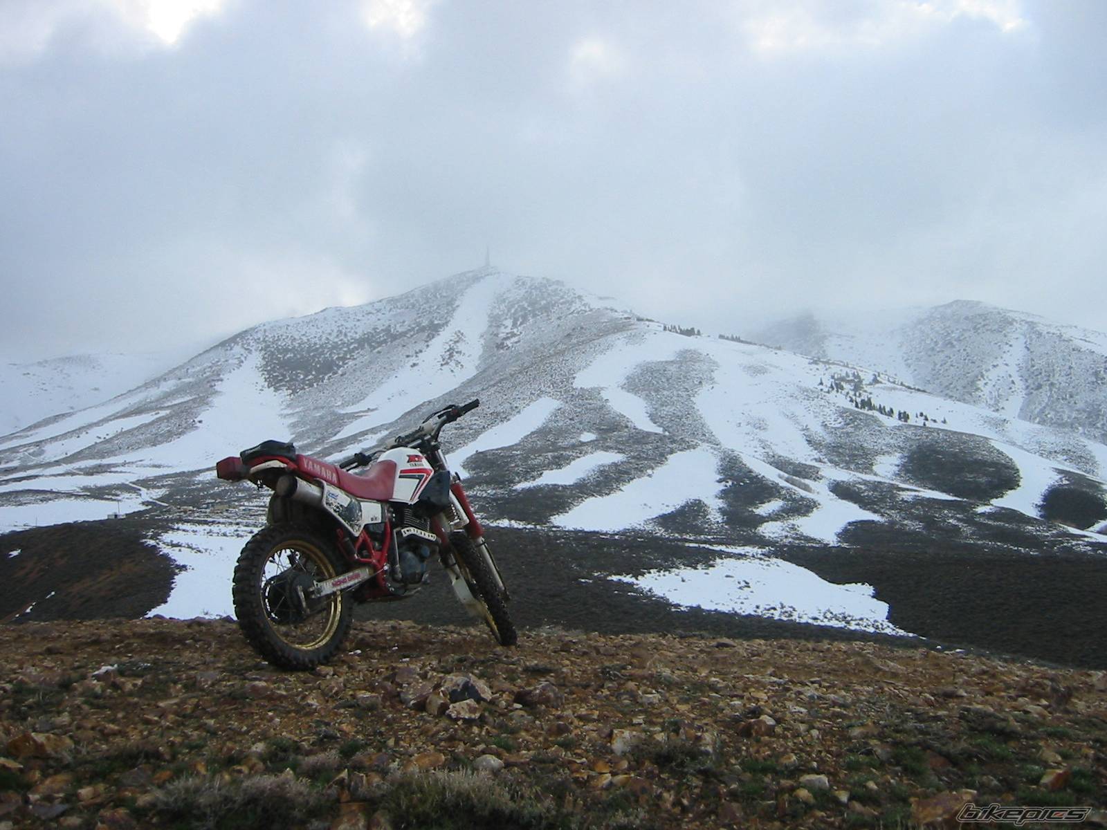 Bike Photo 318318