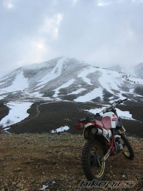 Bike Photo 318320