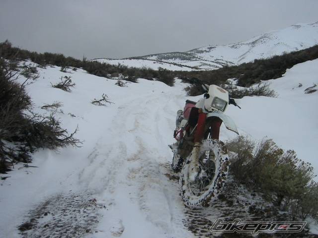 Bike Photo 318321